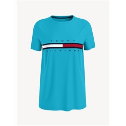 TOMMY HILFIGER FLAG STRIPE LOGO T-SHIRT