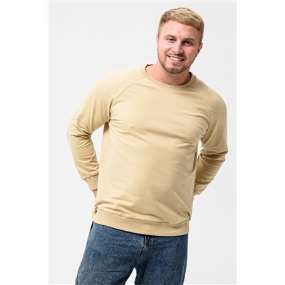 Свитшот базовый мужской 14430