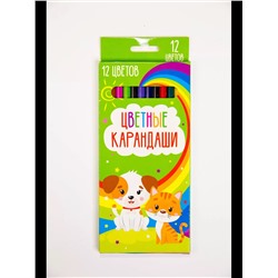 Карандаши цветные 12 цветов 60967