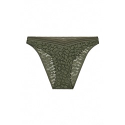 Braga clásica encaje cintura "V" kaki