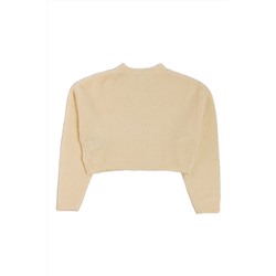 Jersey de lana Crudo