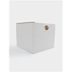 Конфетница, 17х14 см, полирезин, коричневая, Белка, Autumn forest