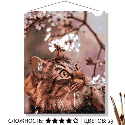 «КОТИК В БЕЛЫХ ЦВЕТАХ»
