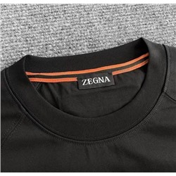 Мужская футболка   ZEGN*A