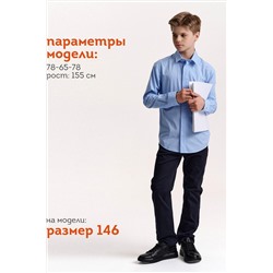 Рубашка PELICAN, 1188925