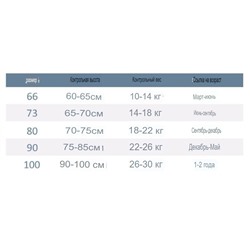 Хлопковый спортивный костюм