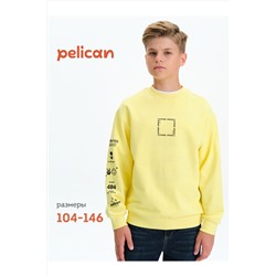 Свитшот PELICAN, 1188929