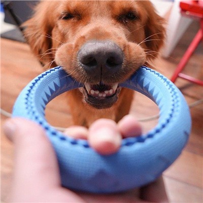 Пуллер для собак. Диаметр 17 см. Вес 160 гр