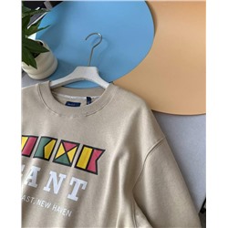 Толстовка саитшот   GAN*T