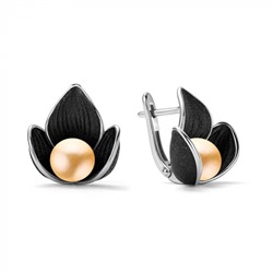 Серьги серебро 52986S5B