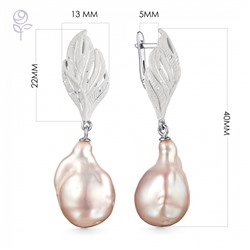 Серьги серебро 52889S6W