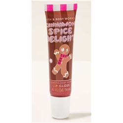 Cinnamon Spice Delight Lip Gloss
