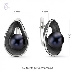 Серьги серебро 52250S2B