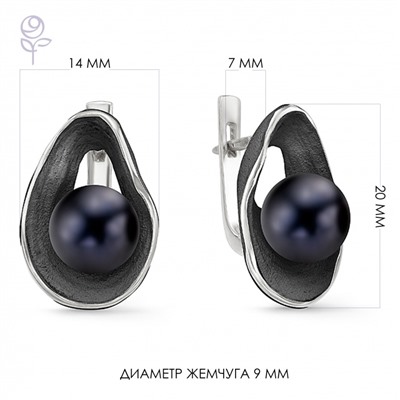 Серьги серебро 52250S2B