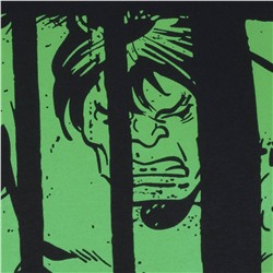 HULK Text MARVEL Herren T-Shirt FBMTS304BLK