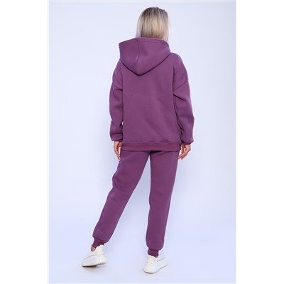 688 Костюм с начесом ZIP