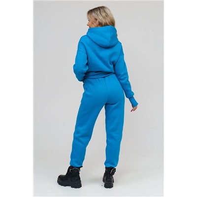 Костюм 36597 (худи + брюки) НАТАЛИ #818096