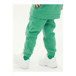 Брюки PELICAN, 799842