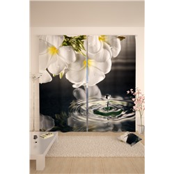 Фотошторы 10805