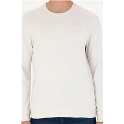 Erkek Taş Bisiklet Yaka Basic Sweatshirt