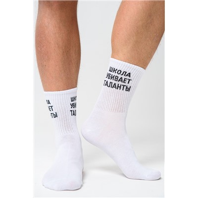 Носки мужские Талант (набор 3 пары)