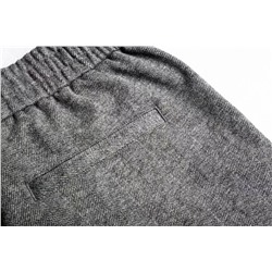 Мужские повседневные брюки из смесовой шерсти   ZEGN*A