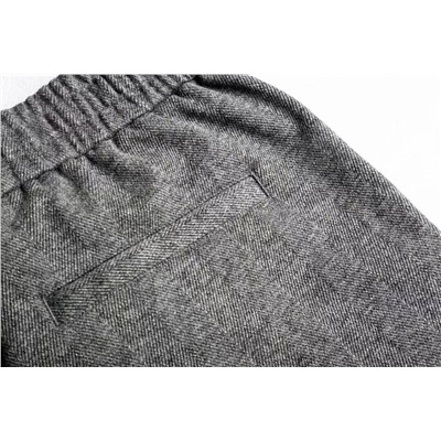 Мужские повседневные брюки из смесовой шерсти   ZEGN*A