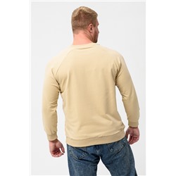 Свитшот базовый мужской 14430