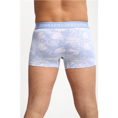 Трусы мужские 45072