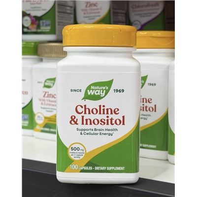 Choline & Inositol 100 caps Natures Way на