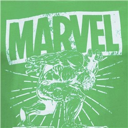 HULK Lift MARVEL Herren T-Shirt FBMTS307GRN