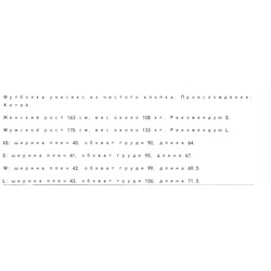 Футболка мужская VAN*S