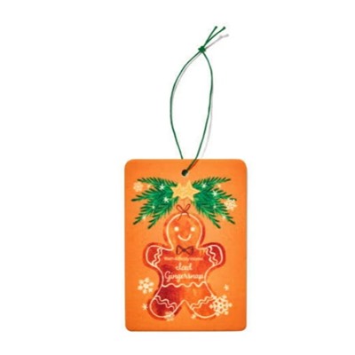 Iced Gingersnap Hanging Fragrance Diffuser