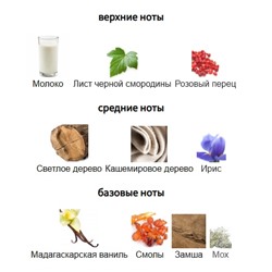 ORMONDE JAYNE BYZANCE edp 8ml mini