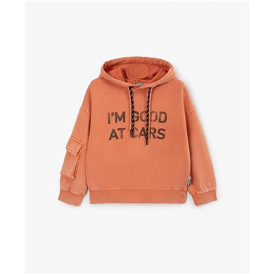 Детская толстовка / худи с капюшоном ГУЛИВЕ*Р  Экспорт в Россию  Материал: хлопок 100%