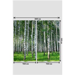 Фотошторы 10840