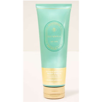 Eucalyptus Эвкалипт