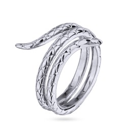 Кольцо Змея (покрытие родий), Есть комплект