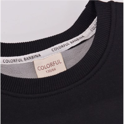 Свитшот утепленный для мальчиков. 100% хлопок. Экспорт