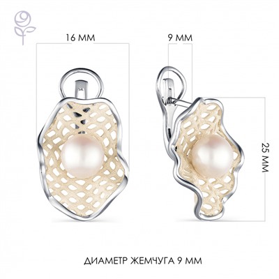 Серьги серебро 52848S1H