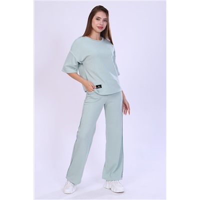 Костюм 24896 (брюки+футболка) НАТАЛИ #809981