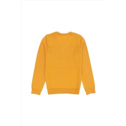 Erkek Çocuk Hardal Basic Kazak