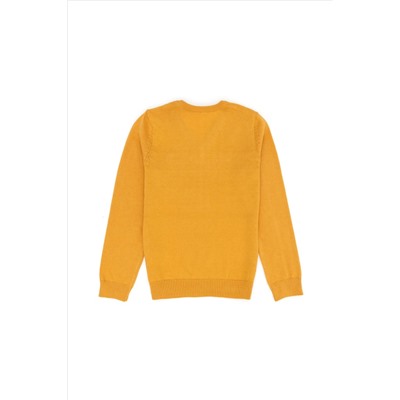 Erkek Çocuk Hardal Basic Kazak