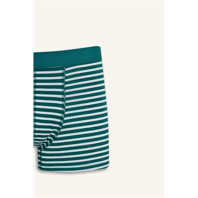 DeFacto Regular Fit Çizgili 3'lü Boxer E9580AX25SP