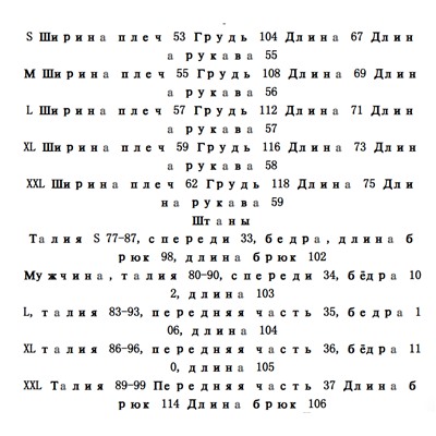 Мужской спортивный костюм  БОС*С