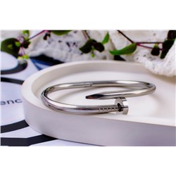 Стальной браслет Картье Гвоздь + Подарок