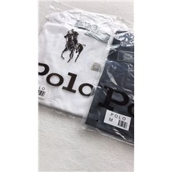 Мужская футболка 3 цвета  РАЛЬ*Ф Л