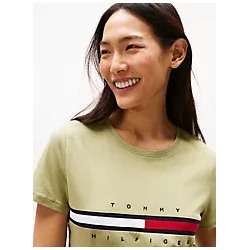 Embroidered Flag Stripe Logo T-Shirt