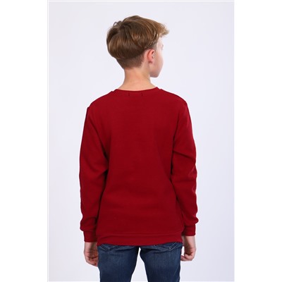 Джемпер 17589 детский НАТАЛИ #815053