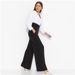 Брюки с высокой посадкой, Высокий стандарт